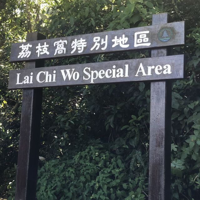 Lai Chi Wo- The UNESCO Geopark in Hong Kong 