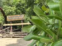 UNESCO HERITAGE SITE - UNDERGROUND RIVER