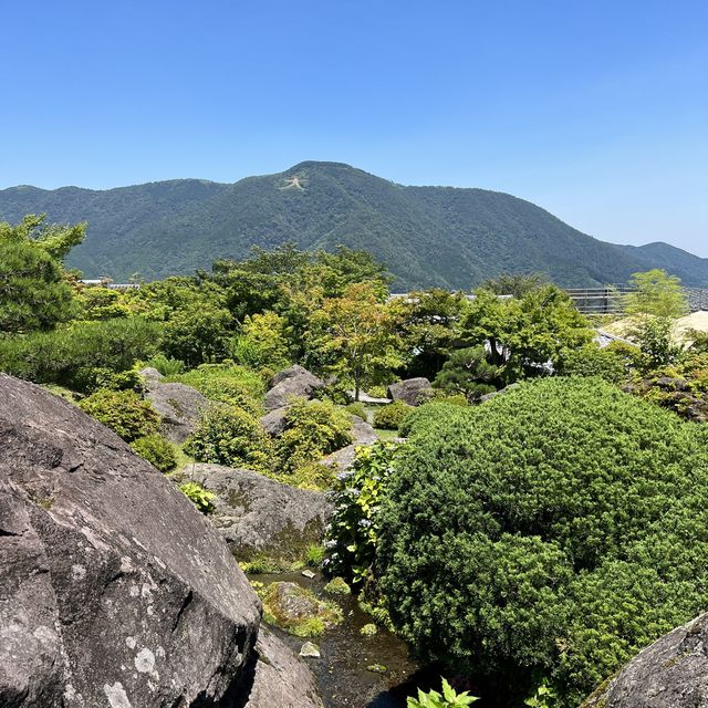 【神奈川】美しい苔を眺めながら散策を楽しむ