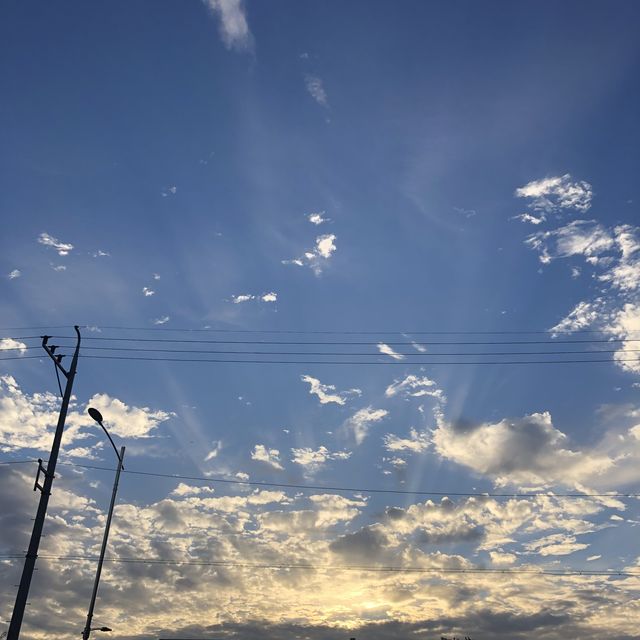 친구랑 안면도 가서 바지락,맛조개 잡고 왔어요! ☀️