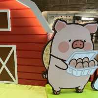 夏日·動物 · Lu Lu 豬🐷🫶🏻