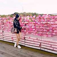 ดินแดนสวรรค์ของคนรักน้องแมว Hello Kitty 💗