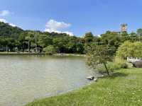 有沒有像台版兼六園呢 這邊就像是一個台版的金澤花園 