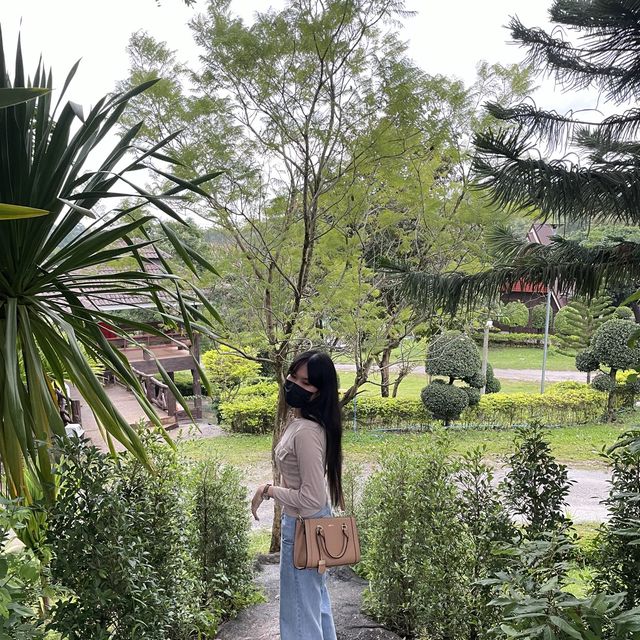 ที่พักวิวดีที่วังน้ำเขียว