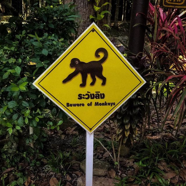 น้ำตกโยง อ.ทุ่งสง นครศรีธรรมราช 