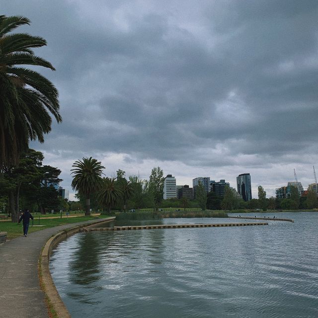 Albert Park 🌲 멜버른 피크닉