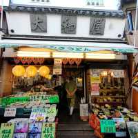 【大阪  東大阪】名物よもぎの天ぷら✨