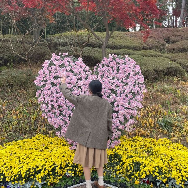 대통령 별장 청주 청남대에서 가을 꽃구경 대통령 별장 청주 청남대에서 가을 꽃구경