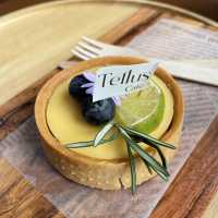 tellus cafe khaoyai🌲