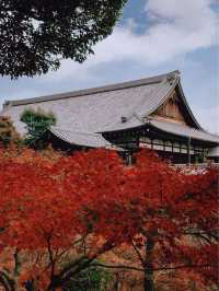 日本京都賞楓景點-東福寺通天橋