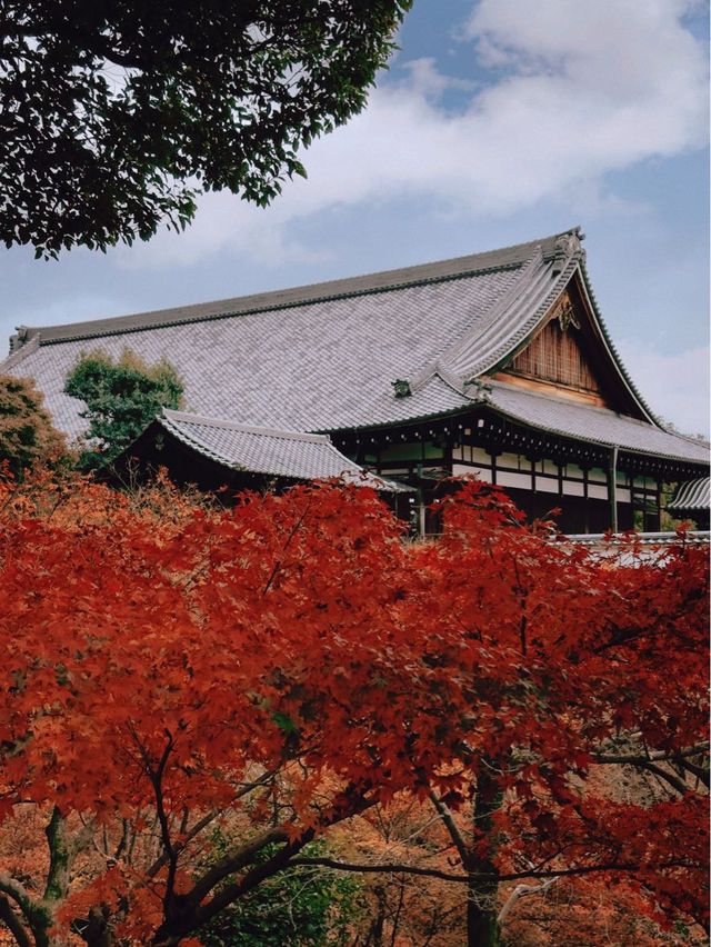 日本京都賞楓景點-東福寺通天橋
