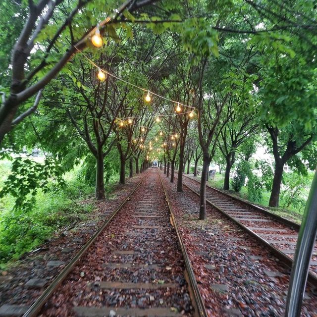 Experience the Rail Bike in Gapyeong ✨️ Experience the Rail Bike in Gapyeong ✨️