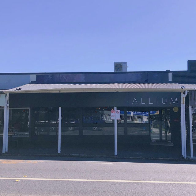 Allium - Brisbane 