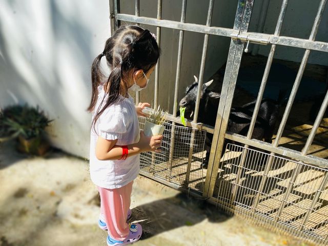 抓緊夏天的尾巴☀️農莊夏水禮