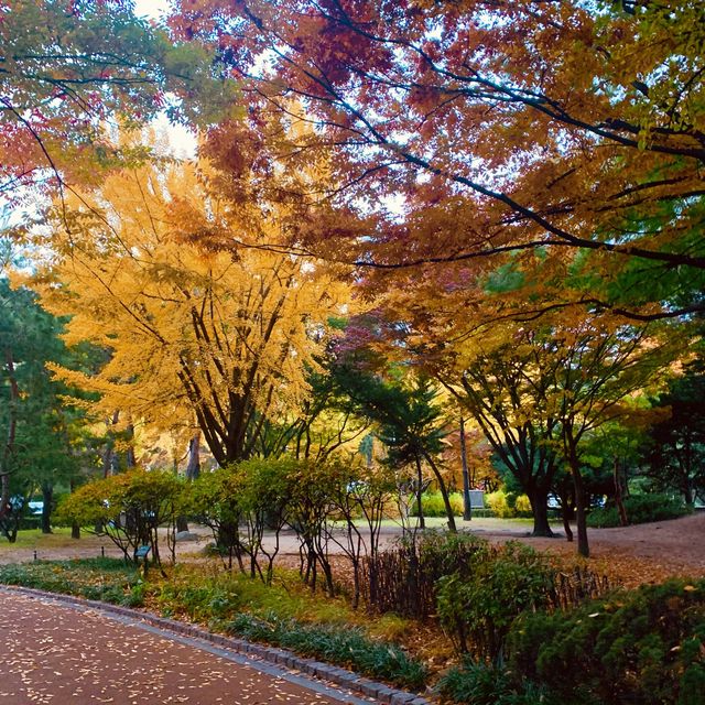 [오색빛 가을 품은 ‘도산공원’]
