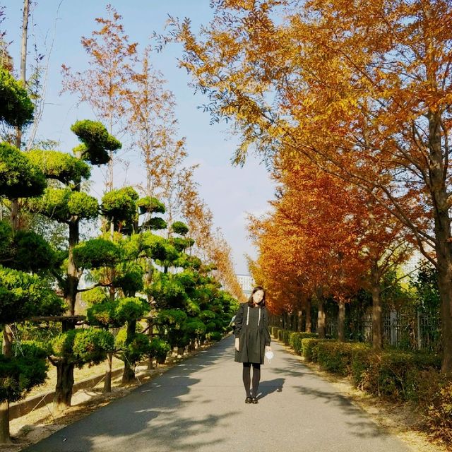가을다가기 전에 가볼만한 유엔공원