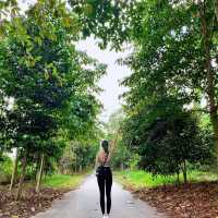 Simple hike, extraordinary sights 