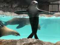 三重県【鳥羽水族館】