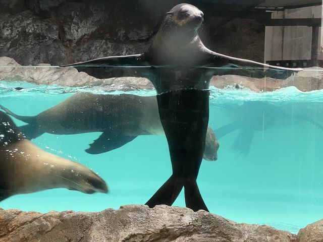 三重県【鳥羽水族館】