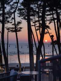 🏝태안 꽃지해수욕장 오션뷰 리조트 아일랜드 리솜