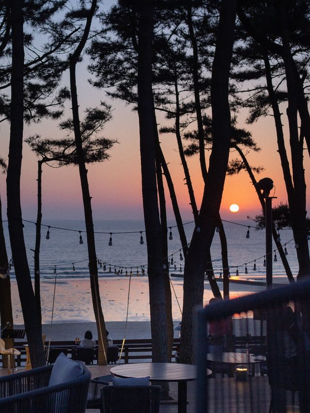 🏝태안 꽃지해수욕장 오션뷰 리조트 아일랜드 리솜