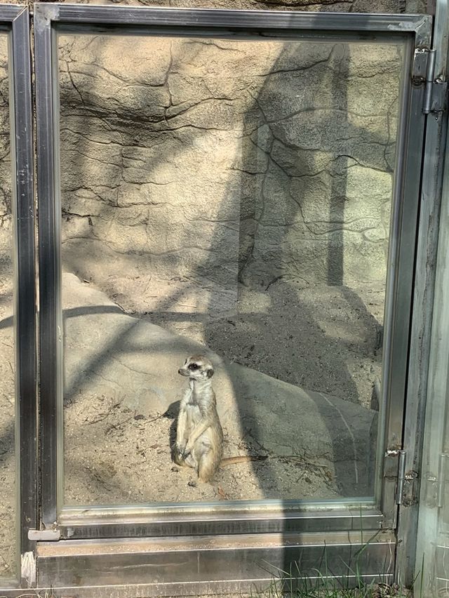 볼거리 가득👀 서울대공원 동물원 🐻
