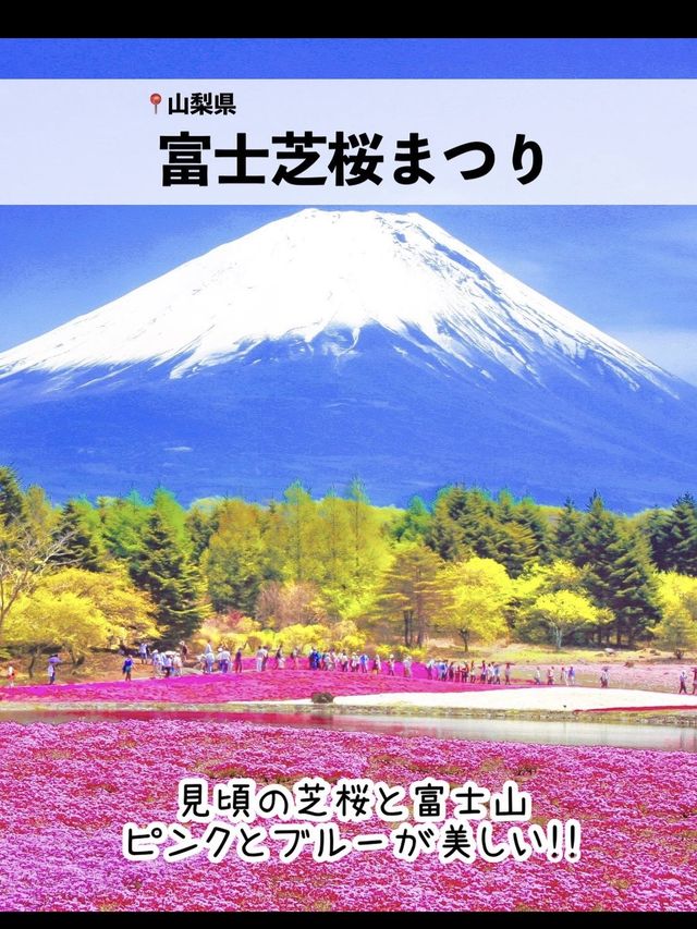 絶景！GWが見頃のお花畑スポット7選