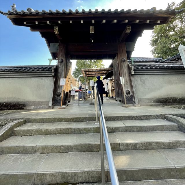 四十七士のお墓参り