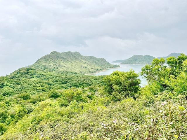 高棚頂