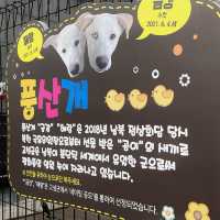 고성 "통일전망대"와 "6•25 전쟁 체험 전시관 