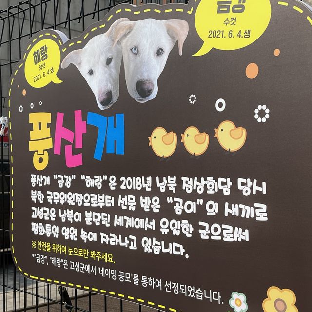 고성 "통일전망대"와 "6•25 전쟁 체험 전시관 