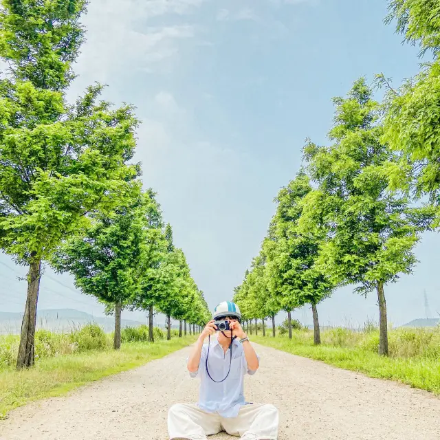 대부도 전동 바이크 스쿠터 타면서 더운 여름 잊어요