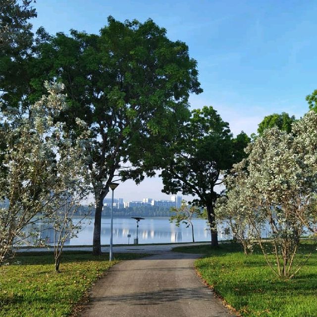 SunRise @Bedok Reservoir