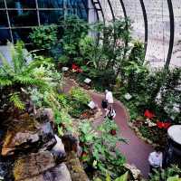 Butterfly Garden In An Airport