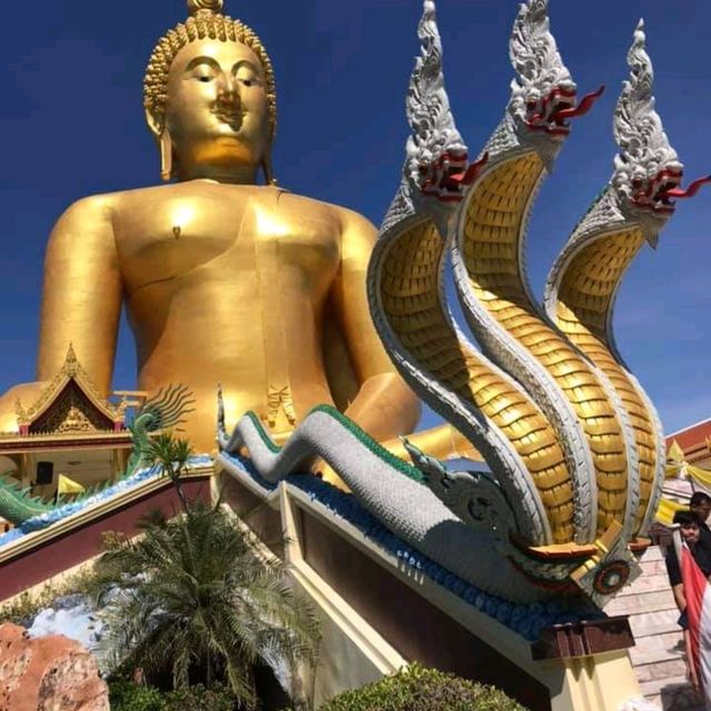 วัดม่วง อ่างทอง