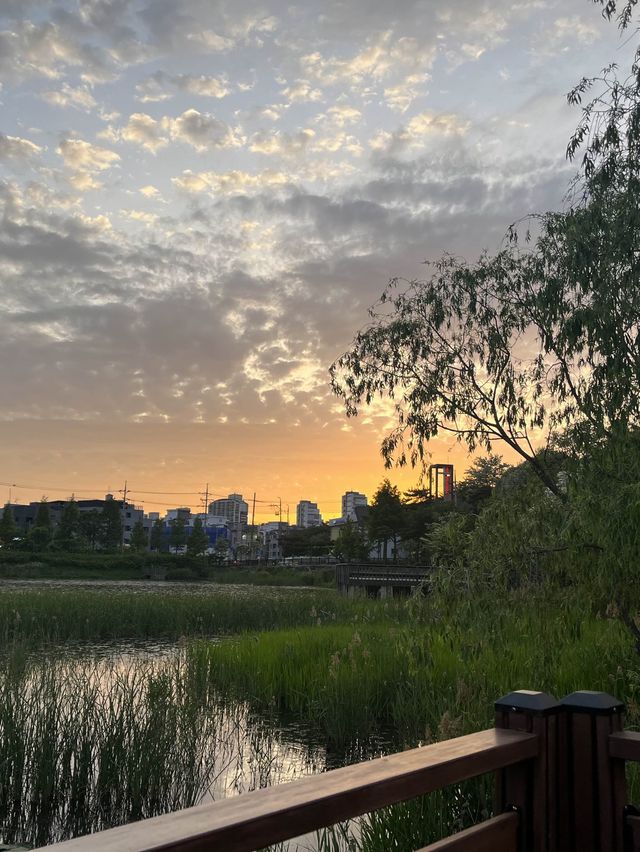 가을 저녁, 노을 구경하러 구로 항동 푸른수목원 산책은 어떠세요?🌿