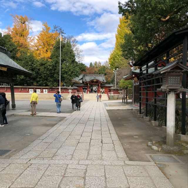 Beautiful Fall Foliage around Chichibu Shrine