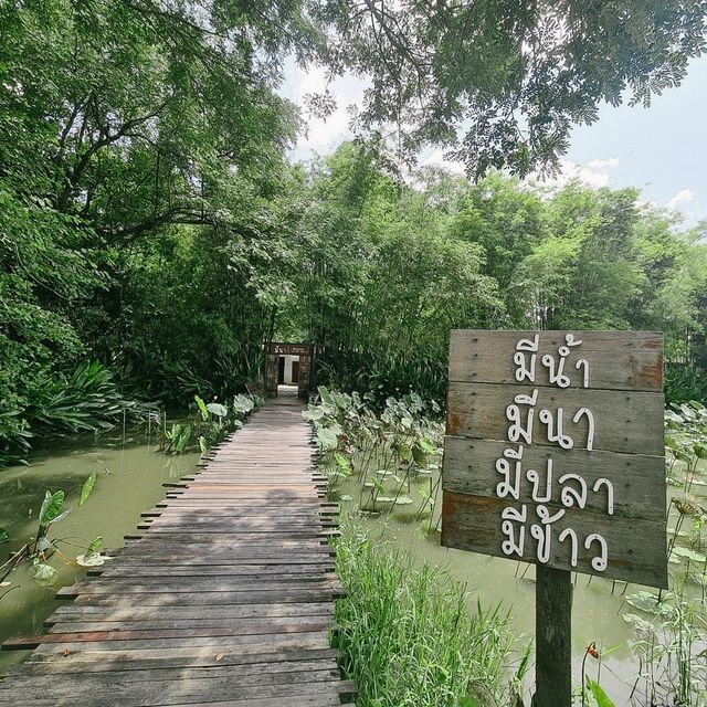 มีนา มีข้าว - ร้านอาหารความอร่อยระดับมิชลิน
