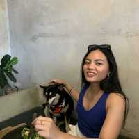 คาเฟ่สำหรับทาสหมาอย่างเรา 🐶