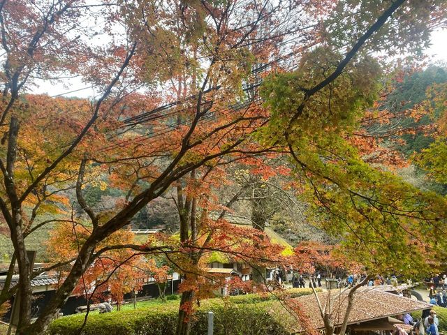 最美紅葉香嵐溪