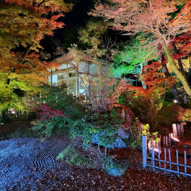 嵐山夜楓@寶嚴院