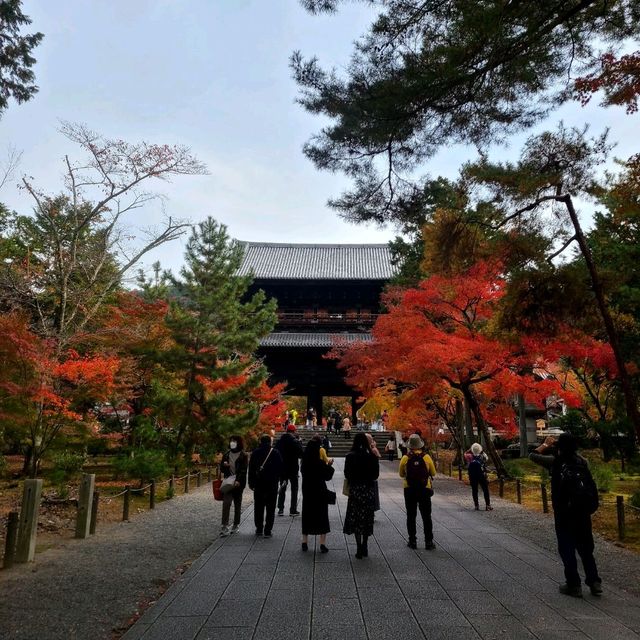 絶景かな【南禅寺】✨