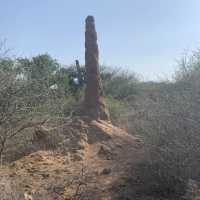 Tribes in the Mango National Park are real. 