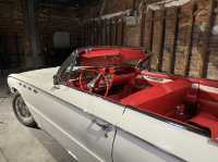 大阪市港区。世界中から集めた希少なヴィンテージ車と巡り会える『GLION MUSEUM（ジーライオンミュージアム）』