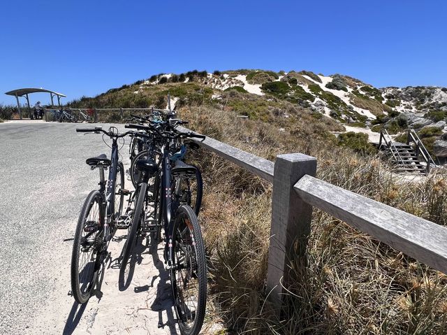 Rottnest Island! Parakeet Bay! 📸😎
