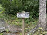 Abrams Falls Trail - Cades Cove