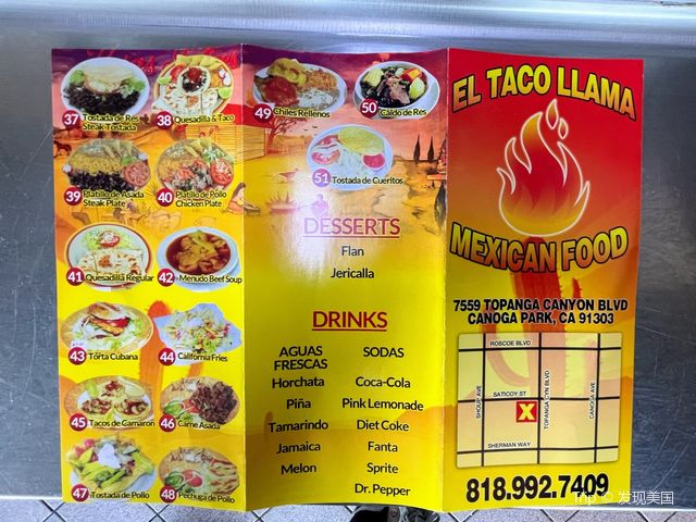 The Great Taco Llama!