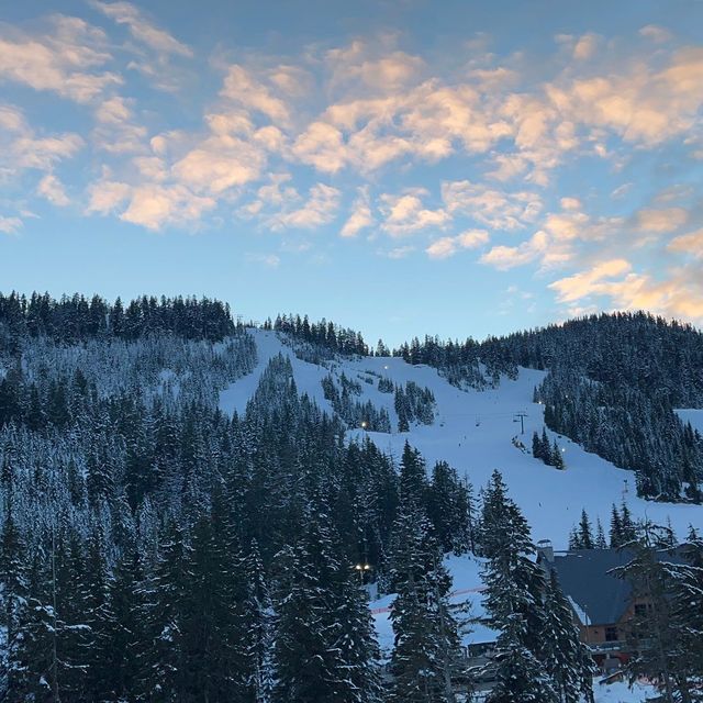 밴쿠버 다운타운에서 가깝게 스키,스노우보드 타러 다녀올 수 있는 사이프러스 마운틴 🏔🏂