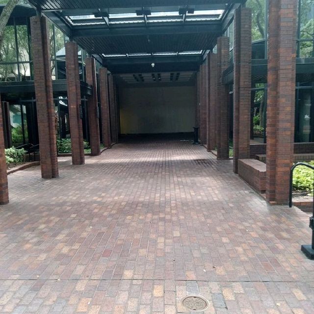 park in downtown Tampa