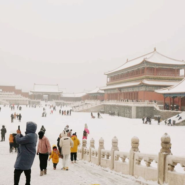 ☃️눈이 오는 즐거운 시간 🇨🇳 아름다운 자금성 구경하기